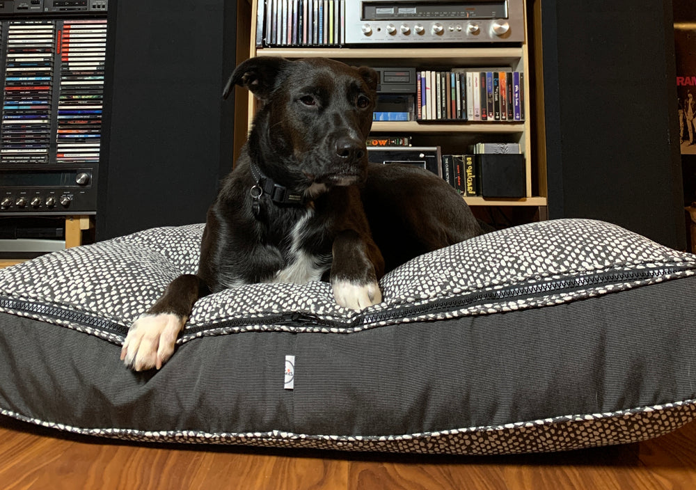 Dog laying on The Poochkies Custom Dog Beds with Zip-off Tops sold at Mustkies
